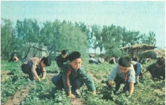 少年儿童|老照片七十年代的少年儿童祖国的花朵