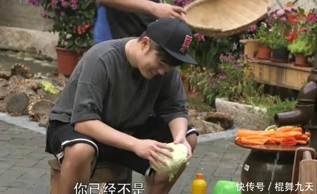 汪涵|汪涵《野生厨房》不如改名《野外就餐》更为贴切