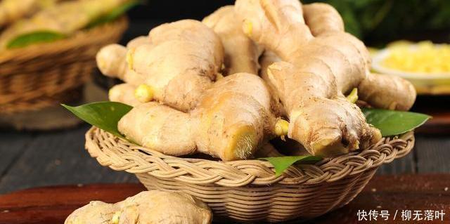 生芽|生姜不要放冰箱保存,教你正确方法,一年都不会生芽,也不干瘪
