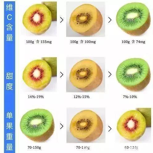  猕猴桃|三伏天遇到这水果要多吃，比苹果便宜，比西瓜香，营养丰富还好吃