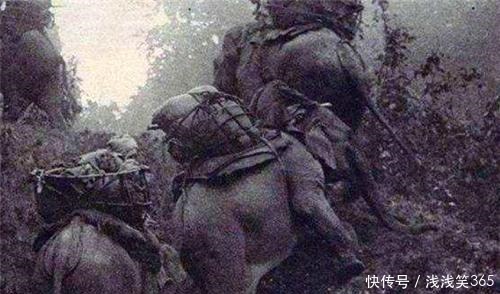 没面子|史上最没面子的围歼战敌人在圈里吃喝享乐，自己在圈外饿得半死