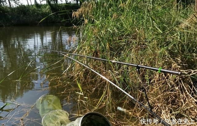 玉米|野钓:想钓大鱼,次次空手而归,方向错了要及时纠正!