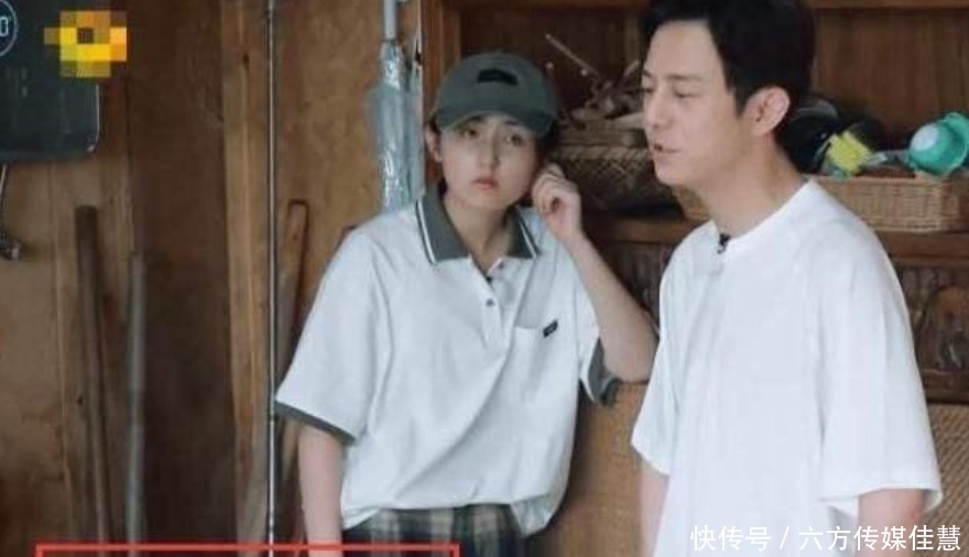  赔不起|《向往的生活》最金贵的明星，黄磊都不敢让她干活，怕赔不起！