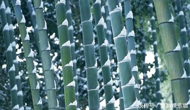 季节|人这一生,最难活出自己的季节