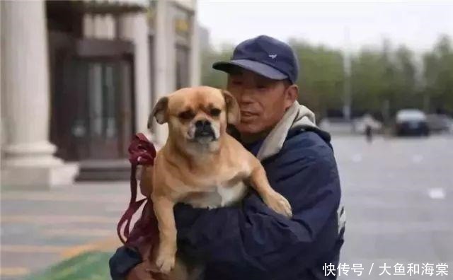 教养|抱歉!连流浪狗都有的教养,有些人却没有