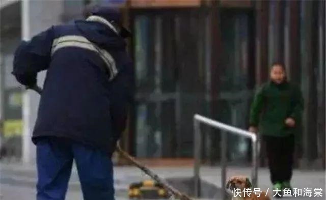 教养|抱歉!连流浪狗都有的教养,有些人却没有