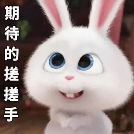 道位|首播破亿姐姐撕逼互怼,跪求加出道位