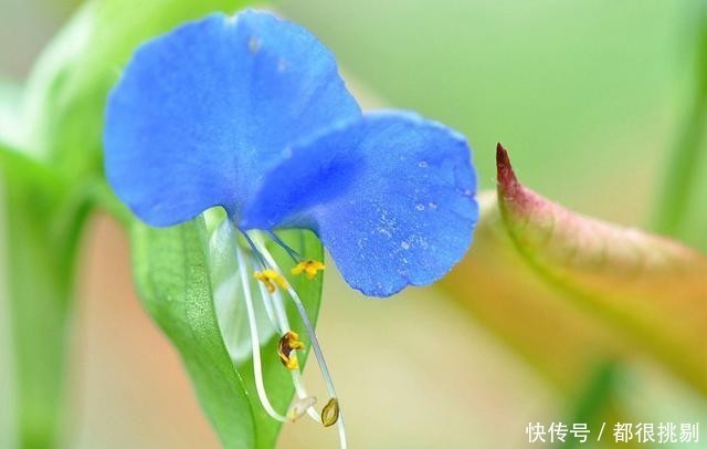  匆匆|感叹岁月匆匆，悲秋伤春自古皆然