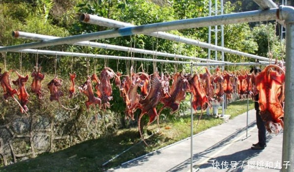 有人|一年被吃百万只,晒干30元一斤,却很少有人饲养