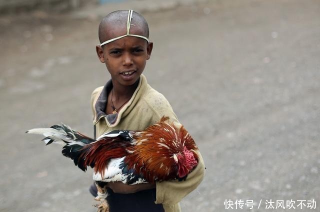 措施|2.4亿人陷于饥饿，疫情加剧非洲粮食危机