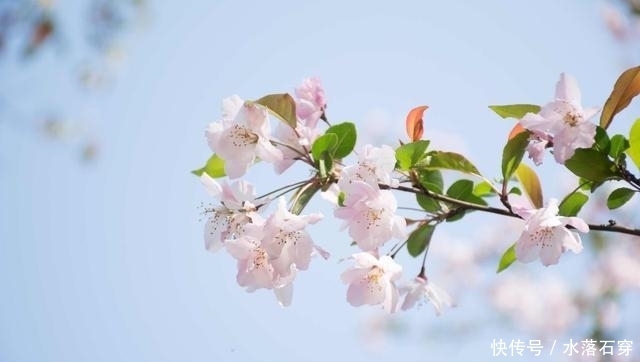 摩羯座|再过16天,痴迷前爱,为爱苦守,良缘又现,将牵手复合,持之永恒