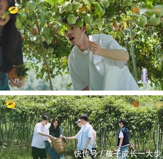  欧阳娜娜|《向往》迎来最尴尬嘉宾，全程手足无措难插话，几乎零镜头！