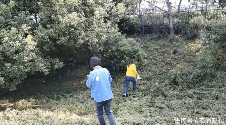 堵车|实拍曝光:高速堵车又随地处大小便,垃圾也随地扔!