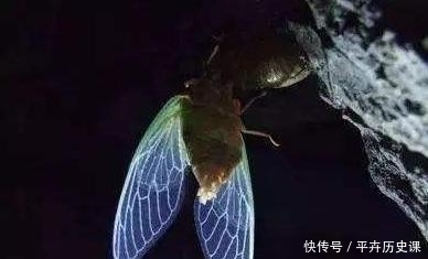 印度人|古代没有卫生纸的年代,怎么擦屁股?印度人左手!日本人居然用蝉翼