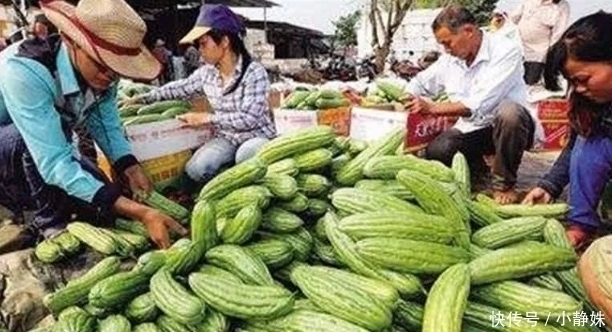 印度|这菜原产印度,当地没人吃,如今在中国广泛种植,一到夏天就热卖