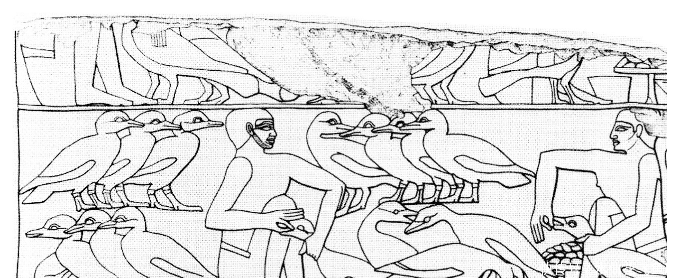 起源于|灌食活鹅做肥鹅肝，起源于古埃及却被法国发扬光大的争议美味！