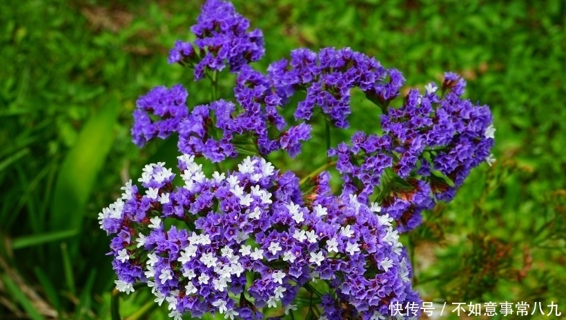 旺盛|九月份开始,桃花运旺盛的4大星座,注定脱单遇真爱!