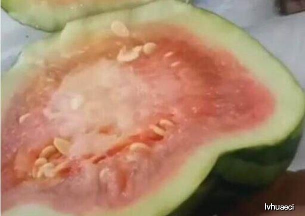 土豪|土豪买到“元宝”西瓜,回到家切开之后,开始心疼了