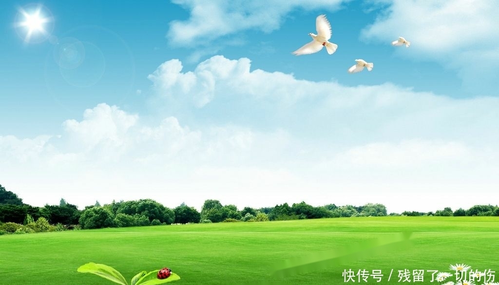 告别|九月喜鹊叫喜事来,三生肖告别坎坷,事业大突破,存款数字升值!