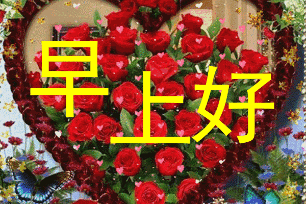 乌龟|别笑乌龟傻,人家懂八卦;别笑蜗牛笨,人家有房又有家,早安