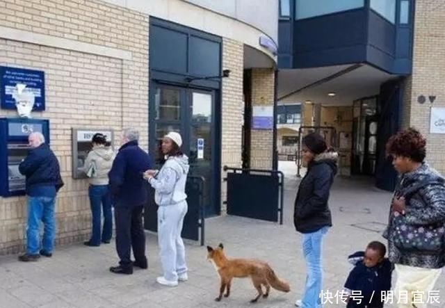  荒唐|10张那些看起来“荒唐”的照片，让人很难理解到底是怎么回事