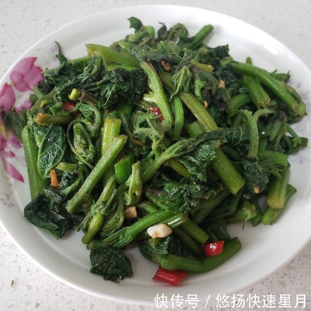 清炒|清炒南瓜苗,清脆爽口的农家菜