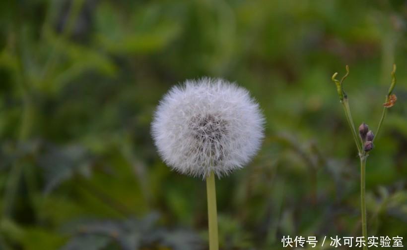 生活|10月喜鹊来报喜,3生肖生活过得美滋滋