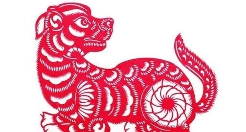  大运|喜鹊门前喳喳叫，生肖狗喜迎财神进门，百年大运挡也挡不住！