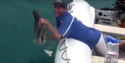  水中|水中扔面包片引来大鱼，手拿一片面包水中摇晃，空手抓到奇怪大鱼