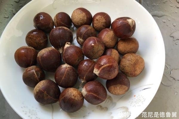 下锅煮|煮板栗时,板栗先下锅就错了!只需多加这1步,板栗又香又好剥