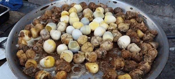 饿死|假如世界上仅剩下这5道食物，必须选一种的话你怎么选饿死算了