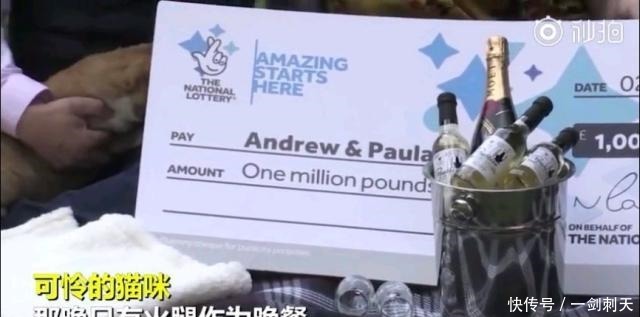 罐头|这对中了100万英镑大奖的夫妇表示,多亏了自家猫……