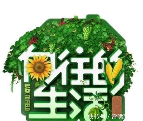  嘉宾|安排上了！《向往的生活4》预计4月份开录，杨幂邓伦成飞行嘉宾