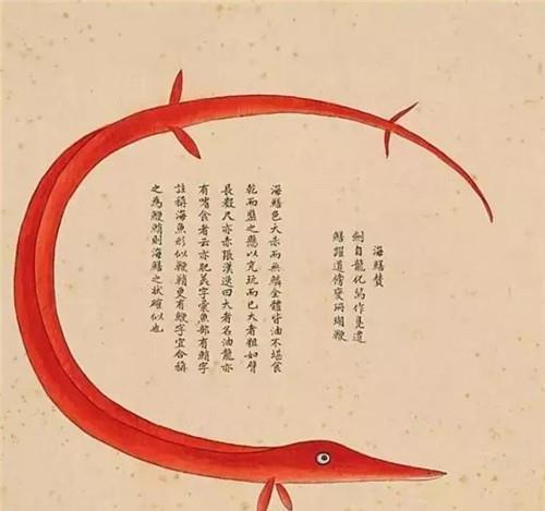 聂璜|故宫有本清朝画册,画了300种生物,唯独这条美人鱼让专家很激动