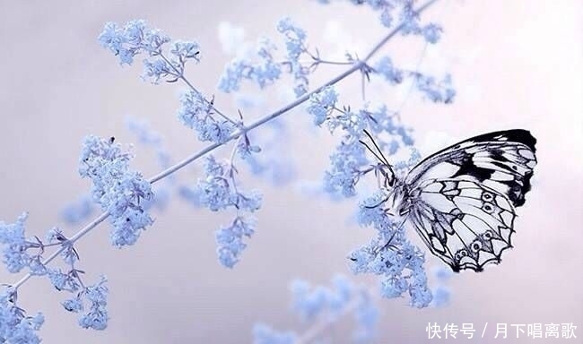 伙计|伙计,你在要求什么,你在争取什么,你在生气什么,你在担心什么?