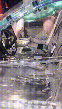  适合|搞笑GIF：这个车适合撩妹吗？