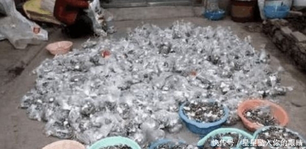 银行|老人半生积蓄存入银行被拒，说明情况后银行的做法很暖心