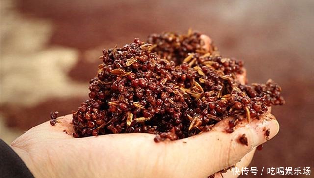 香型|白酒的勾调和勾兑,一字之差,天壤之别!看完涨知识,让你更懂酒