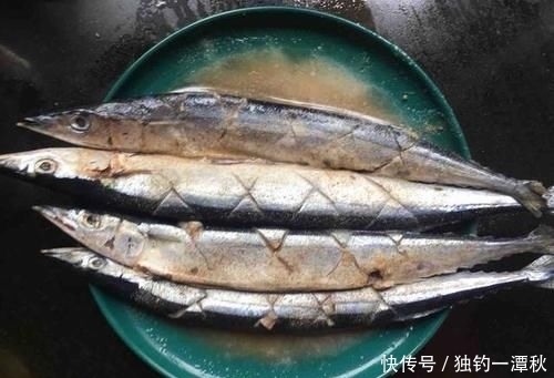 日本|这鱼被日本人称“脑黄金”,蛋白质含量鱼中第一,国内降价无人买