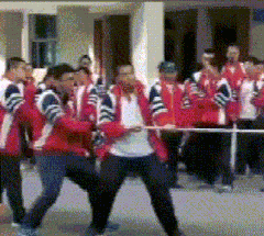  有人|搞笑GIF：只要带女朋友上街，肯定会有人来跟她拍照