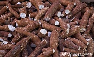 受热捧|全球“毒性最大”的农作物,在中国受热捧,美国人却不敢吃