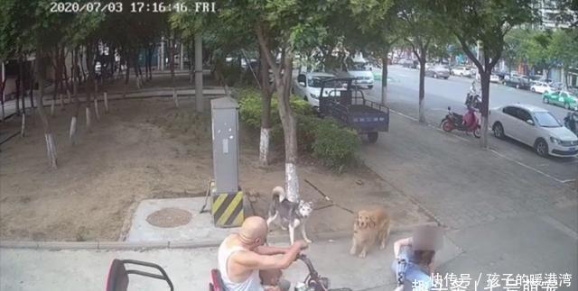  爷爷|女子怕狗伤人拦住小孩，却被孩子爷爷撞倒，网友愤怒：坏人变老了