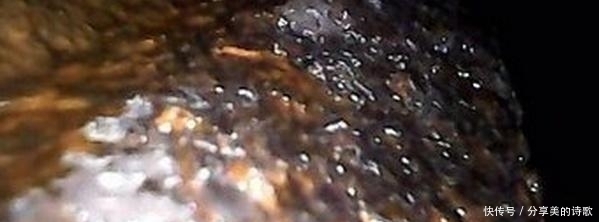 报废|“生锈之王”说的就是这车,3年可能濒临报废,车主:伤心更伤财