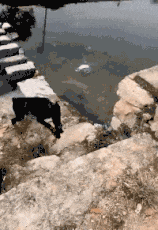  搞笑|搞笑GIF：妹子，不管你的球技怎么样，光看你这样的姿势我必须给你满分