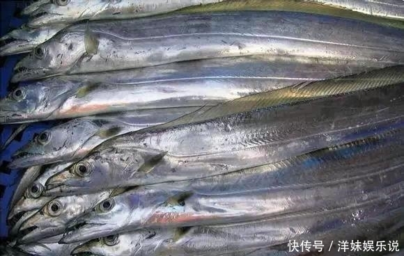 海鲜|海鲜大全, 你能认出多少