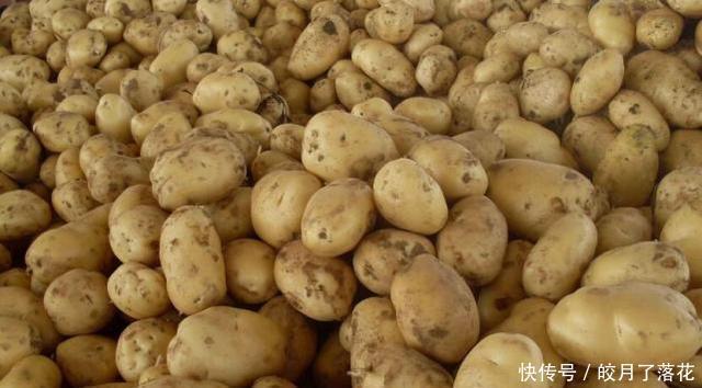 食材|“6种”不能放进冰箱的食材,很多人不知道,难怪拿出来味道差!