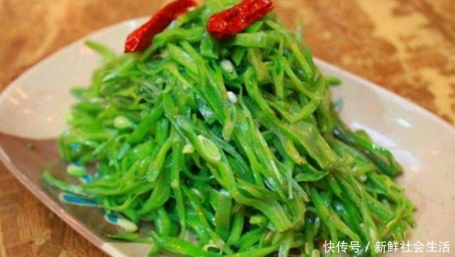 最多|这种菜夏天很难遇见,每次买好几斤,营养又便宜,口感清脆很下饭