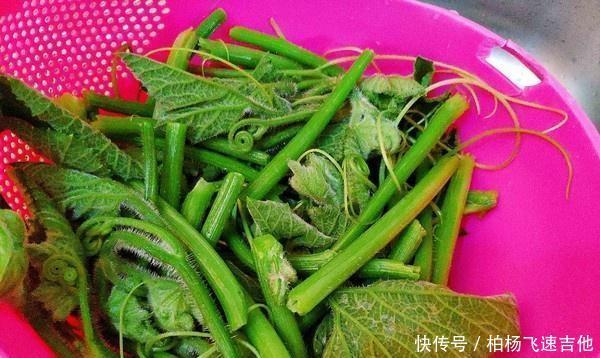 调经|是夏天这道菜是宝贝,用来调经养血,2元一公斤