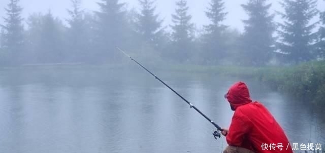  钓鱼|钓鱼：降温、下雨后，鱼情就差？