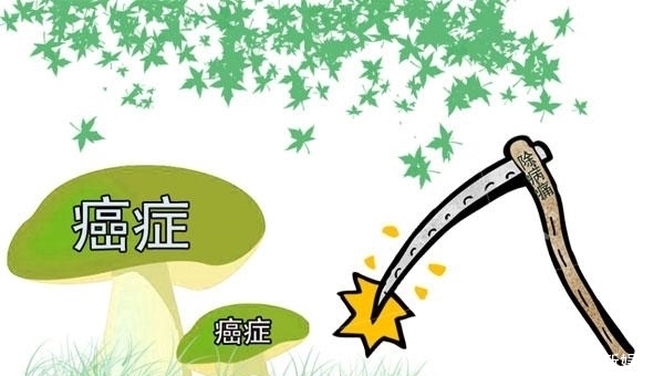 治愈|癌症到底能不能治好?癌症已经到了晚期,还有必要继续治疗吗?